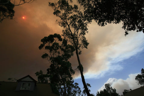 Staying safe this bushfire season - Andatech Distribution