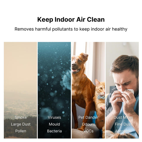 Coway Storm HEPA Air Purifier (1516D) Removes Harmful Pollutants