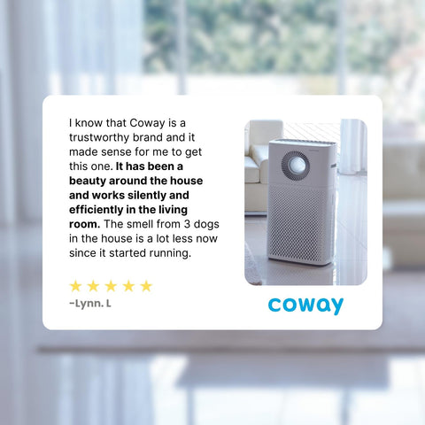 Coway Storm HEPA Air Purifier (1516D) Review