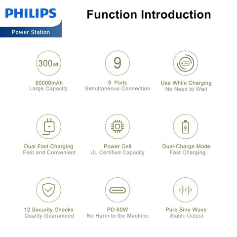 Philips Outdoor Power Supply 300W High Power Mobile Power Supply (DLP8091C)-Power Station-Andatech