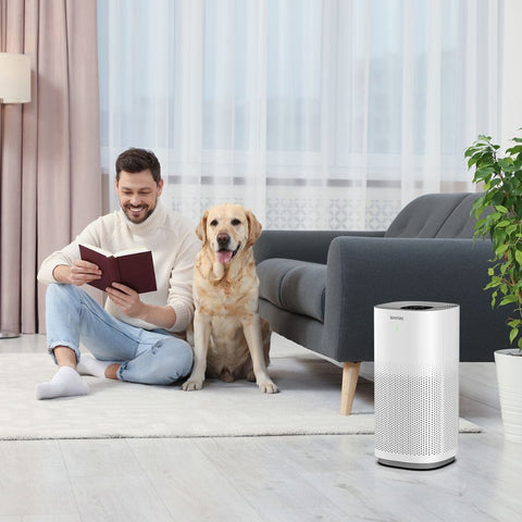 Ionmax Lavish Plus Smart Antibacterial HEPA Air Purifier