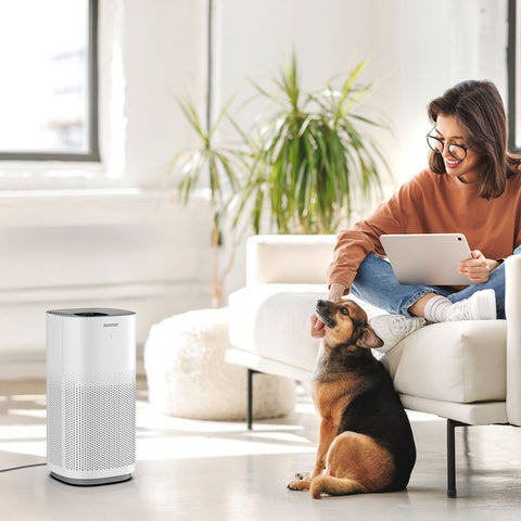 Ionmax Lavish Plus Smart Antibacterial HEPA Air Purifier