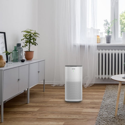 Ionmax Lavish Plus Smart Antibacterial HEPA Air Purifier