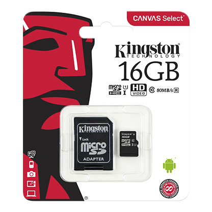 Kingston 16GB MicroSD-Andatech