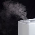 Ionmax ION90 Ultrasonic Cool and Warm Mist Humidifier-Humidifier-Andatech